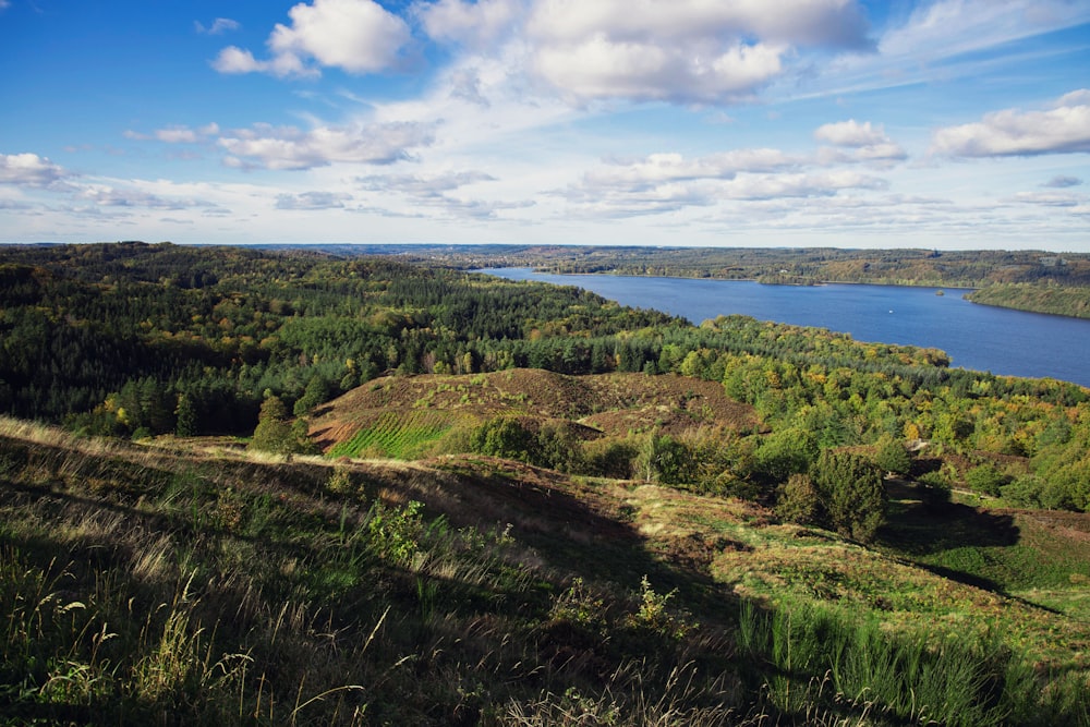 a scenic view of a lake surrounded by trees