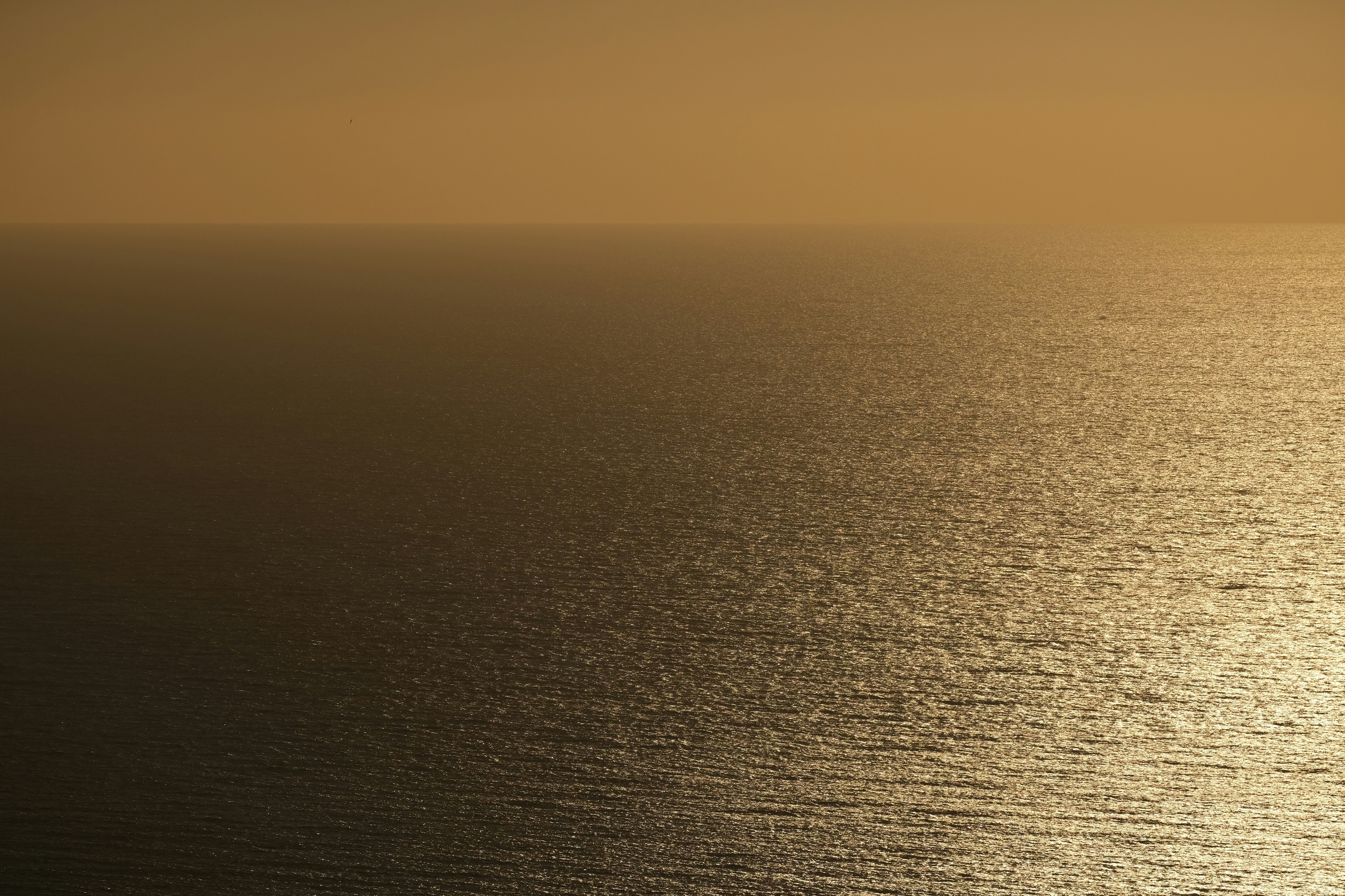 Photo by francesco_ungaro