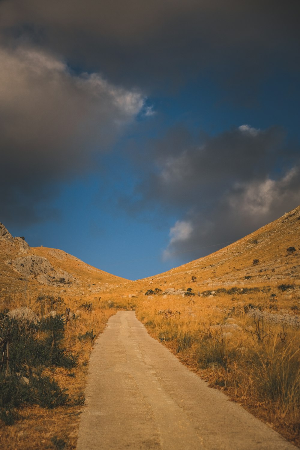 a dirt road in the middle of a field