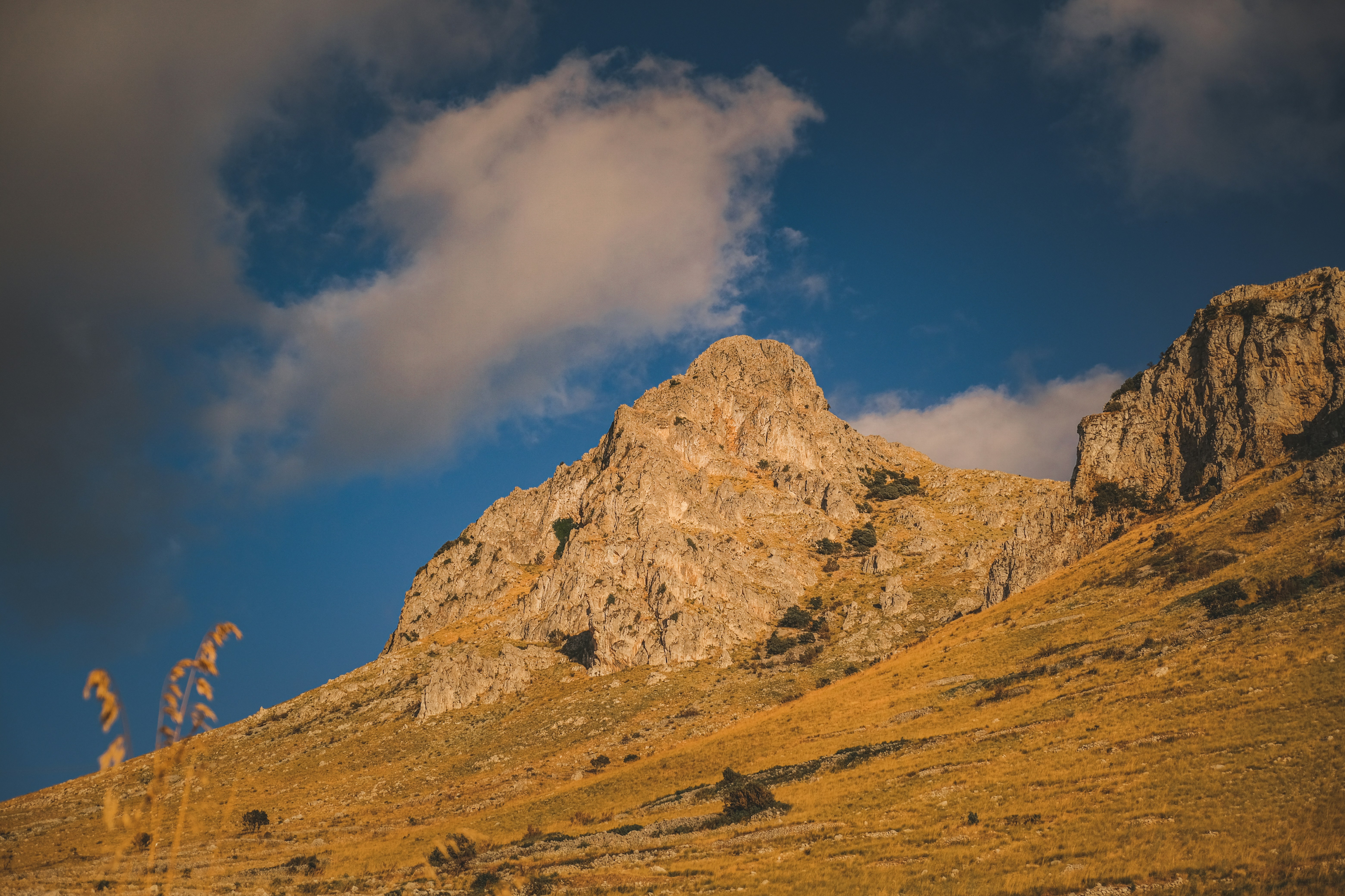 Photo by francesco_ungaro