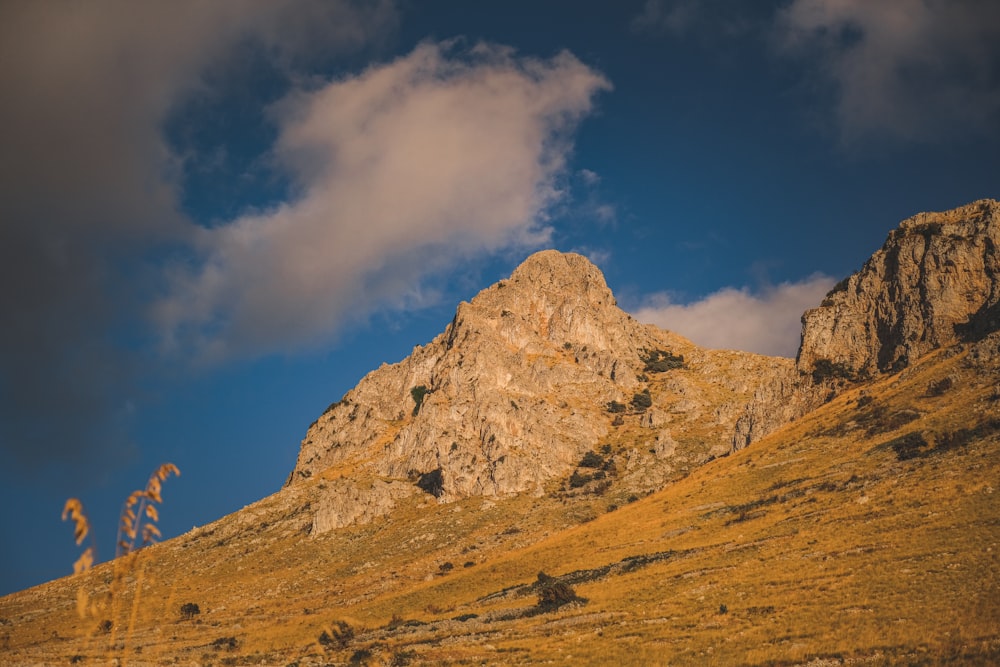 a mountain with a few trees in the foreground