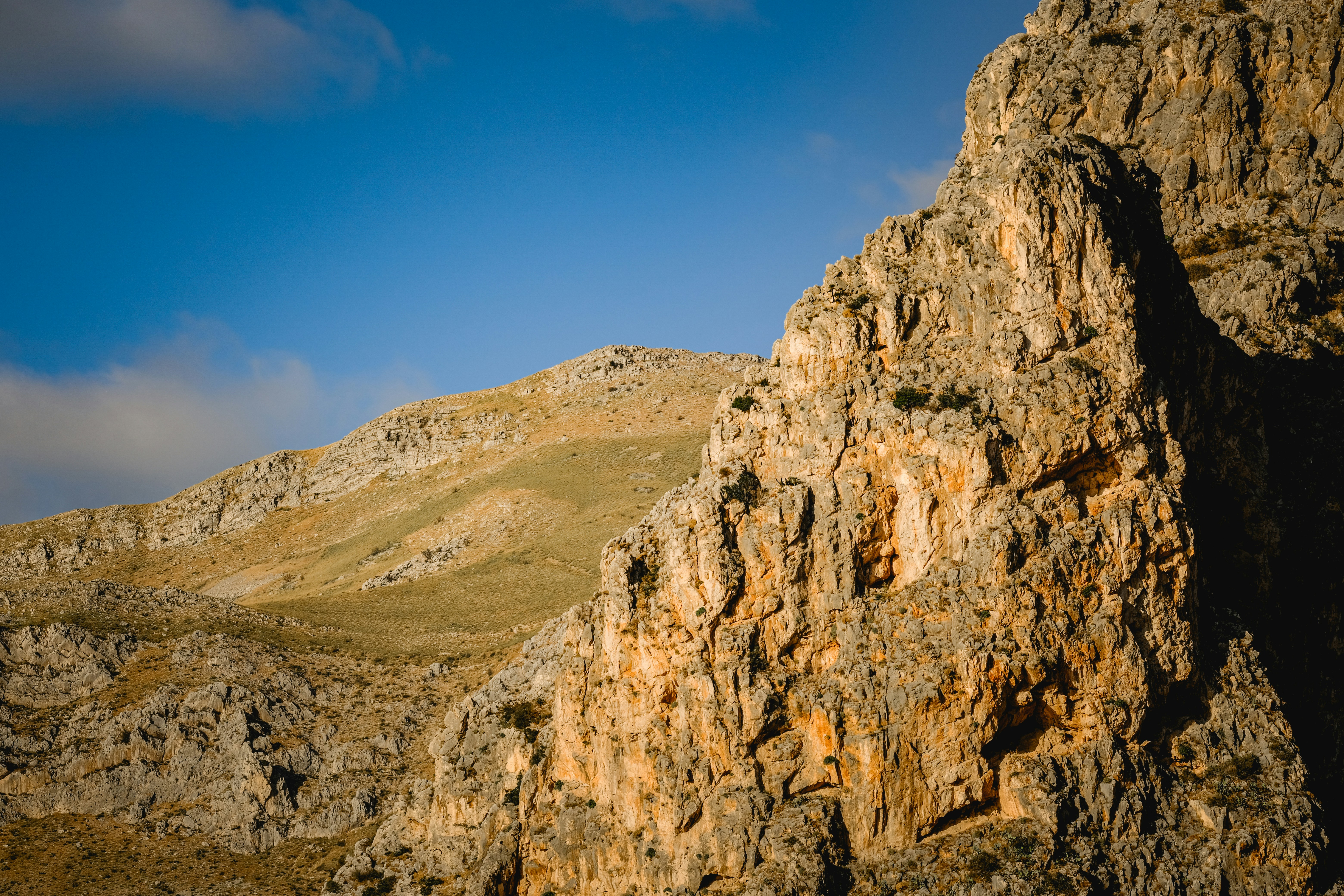 Photo by francesco_ungaro