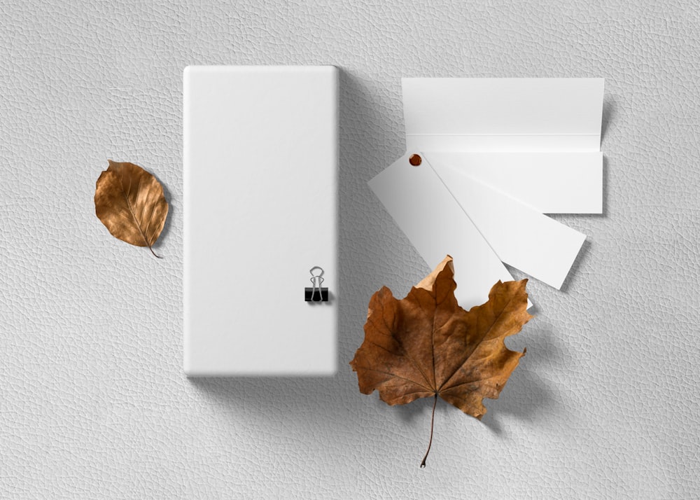 an overhead view of a light switch and a leaf