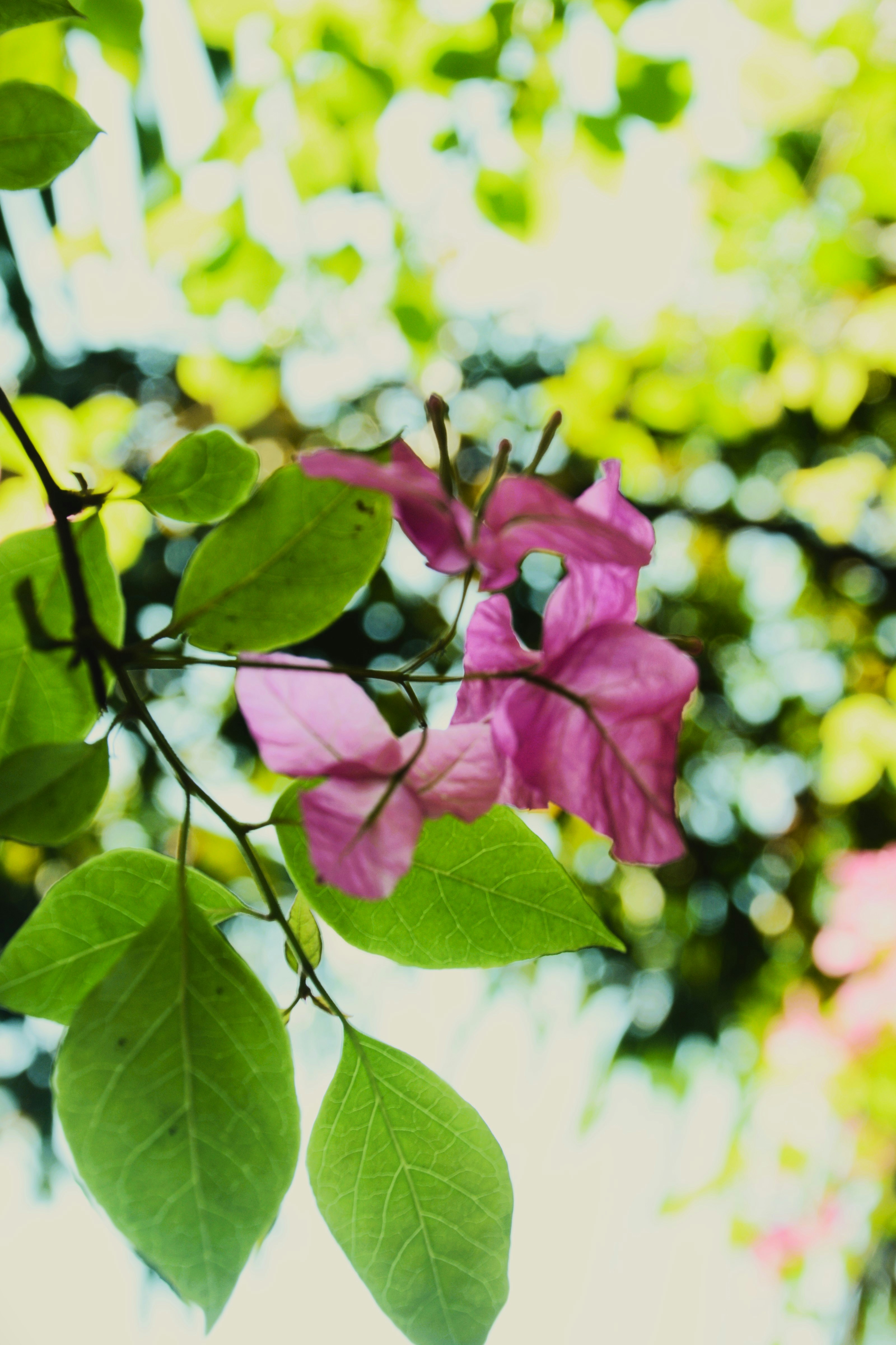 Photo by tasimahmedsafat