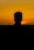a silhouette of a man in front of a sunset