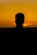 a silhouette of a man in front of a sunset
