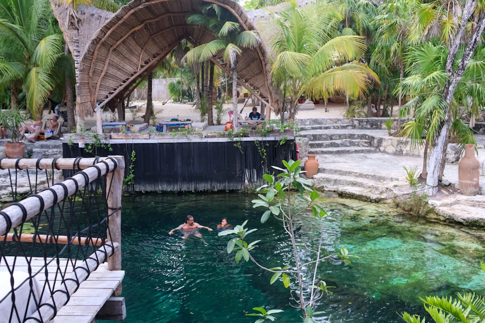 a man swimming in a pool surrounded by palm trees