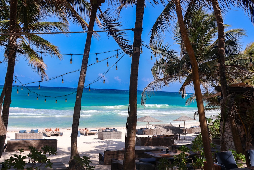 a sandy beach with palm trees and chairs