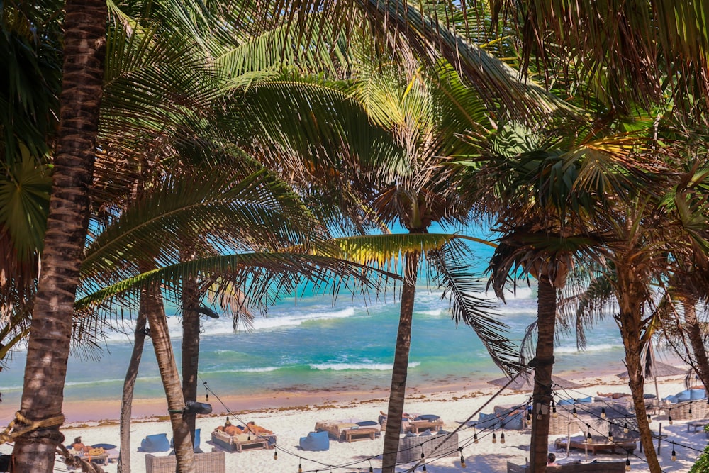 una playa de arena con palmeras y agua azul