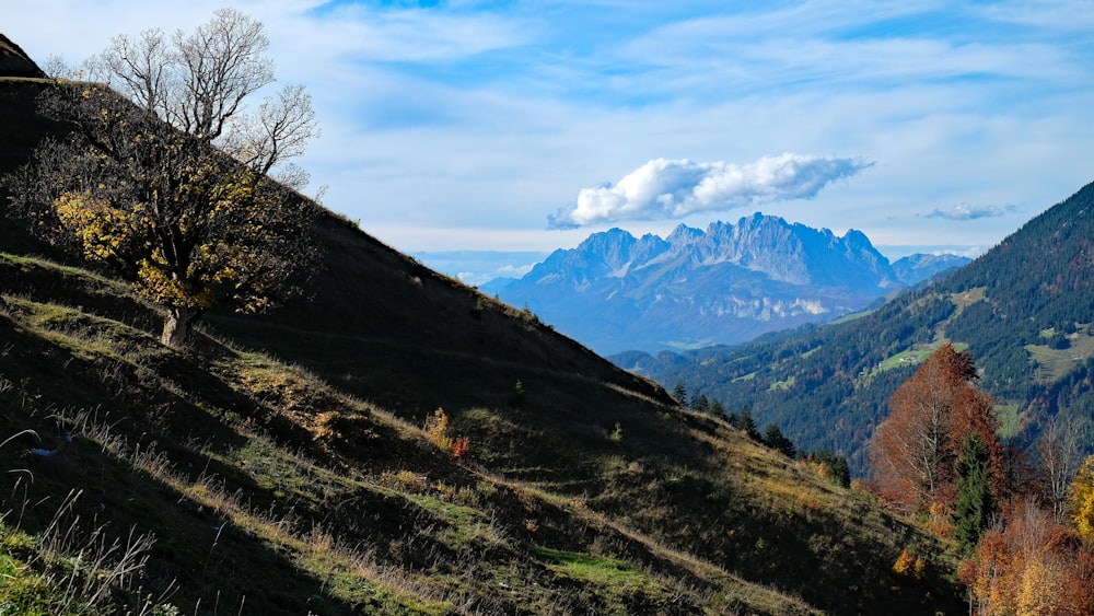 a view of a mountain range with trees and mountains in the background