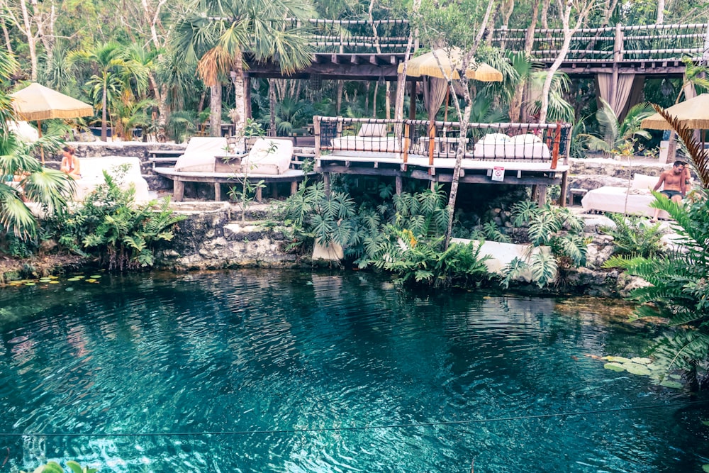 une piscine entourée de palmiers et de parasols