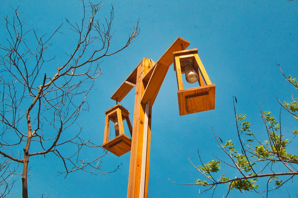 a couple of birds are perched in a bird feeder