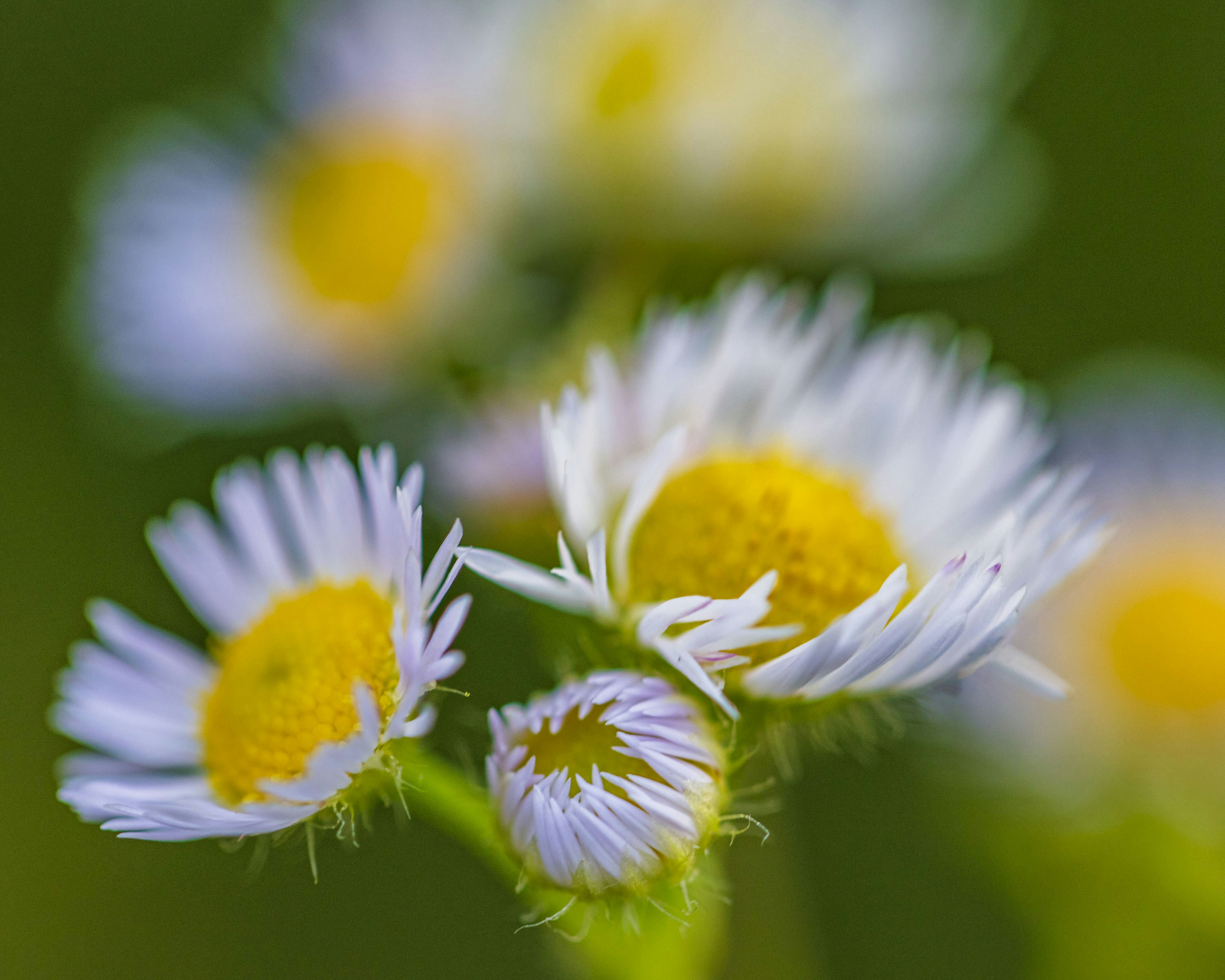 Photo by amylynngrover