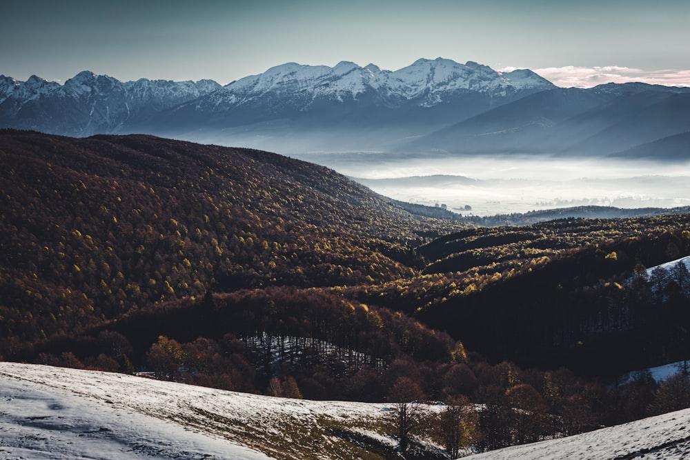 uma vista de uma cordilheira coberta de neve