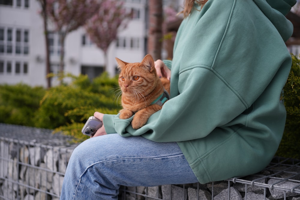 a person sitting on a bench with a cat on their lap