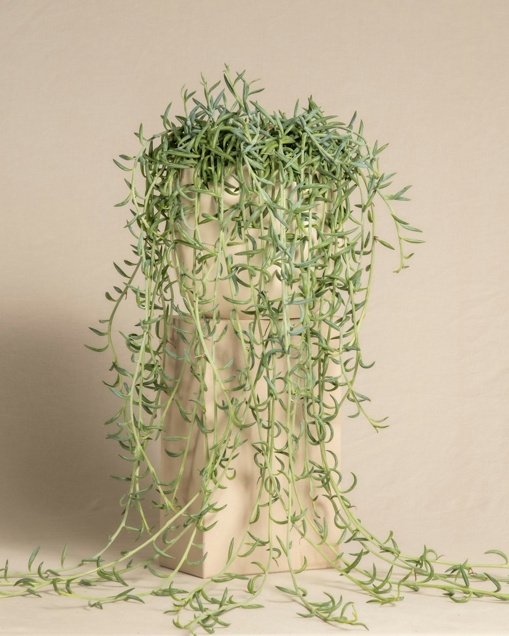 a white mannequin with a green plant growing out of it