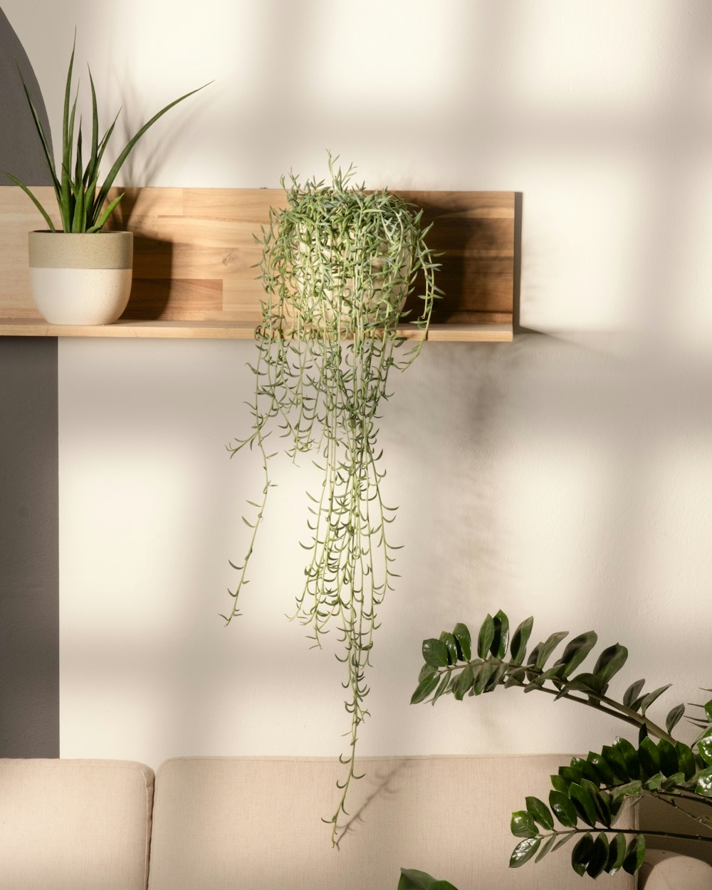 a wall mounted shelf with a plant on it