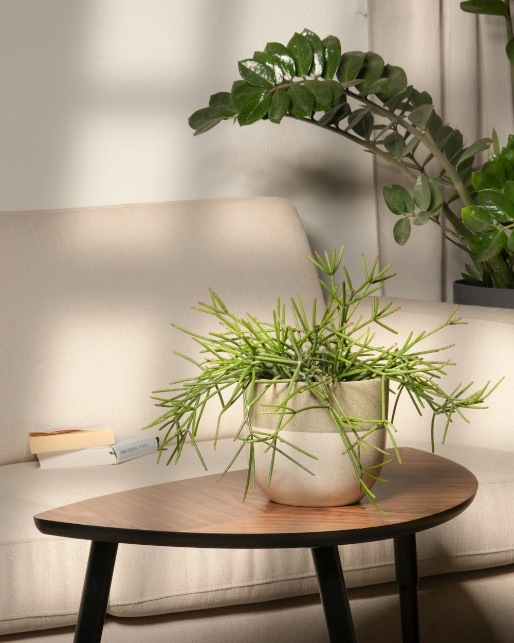 une table avec une plante en pot sur le dessus
