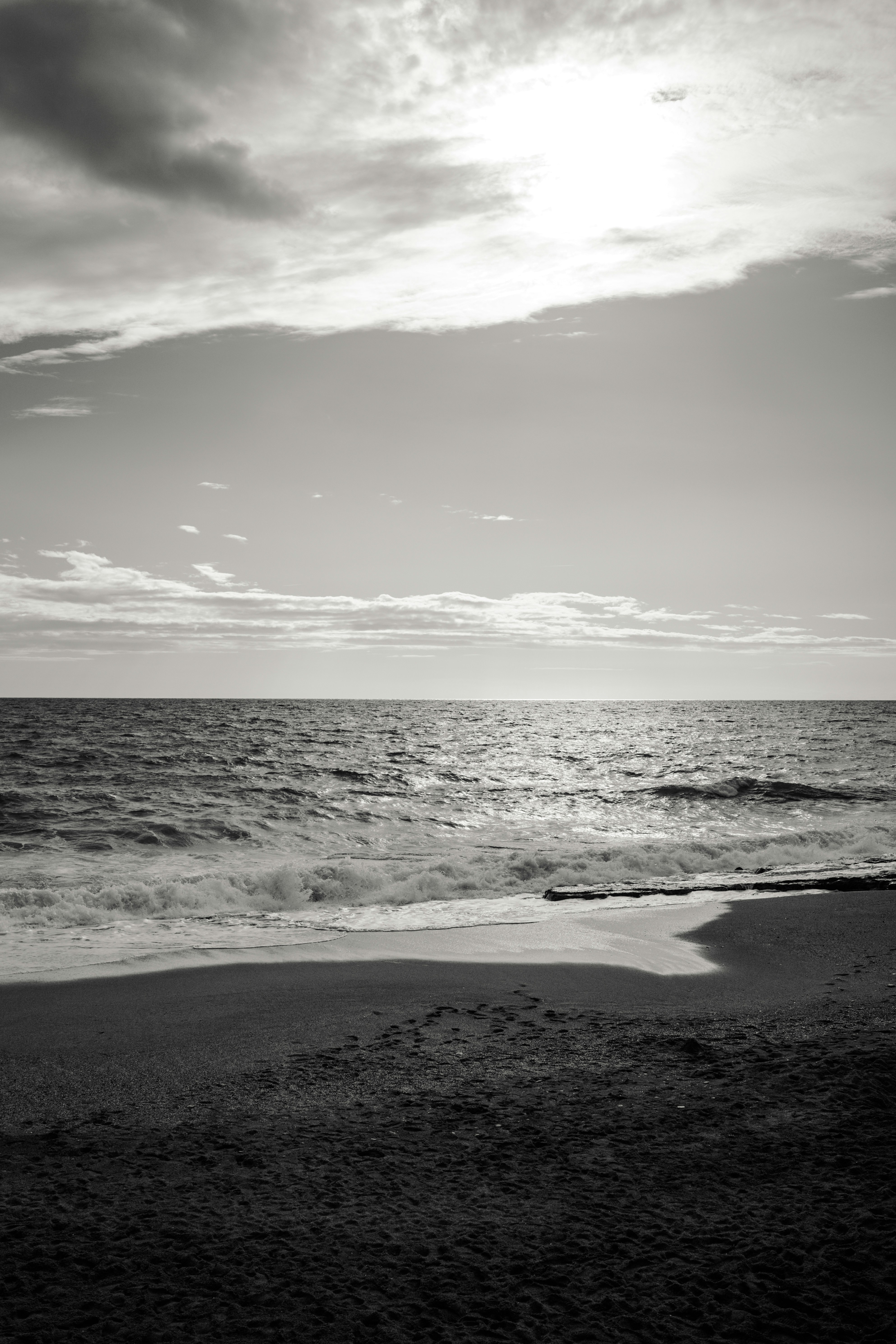 Photo by igorharrier