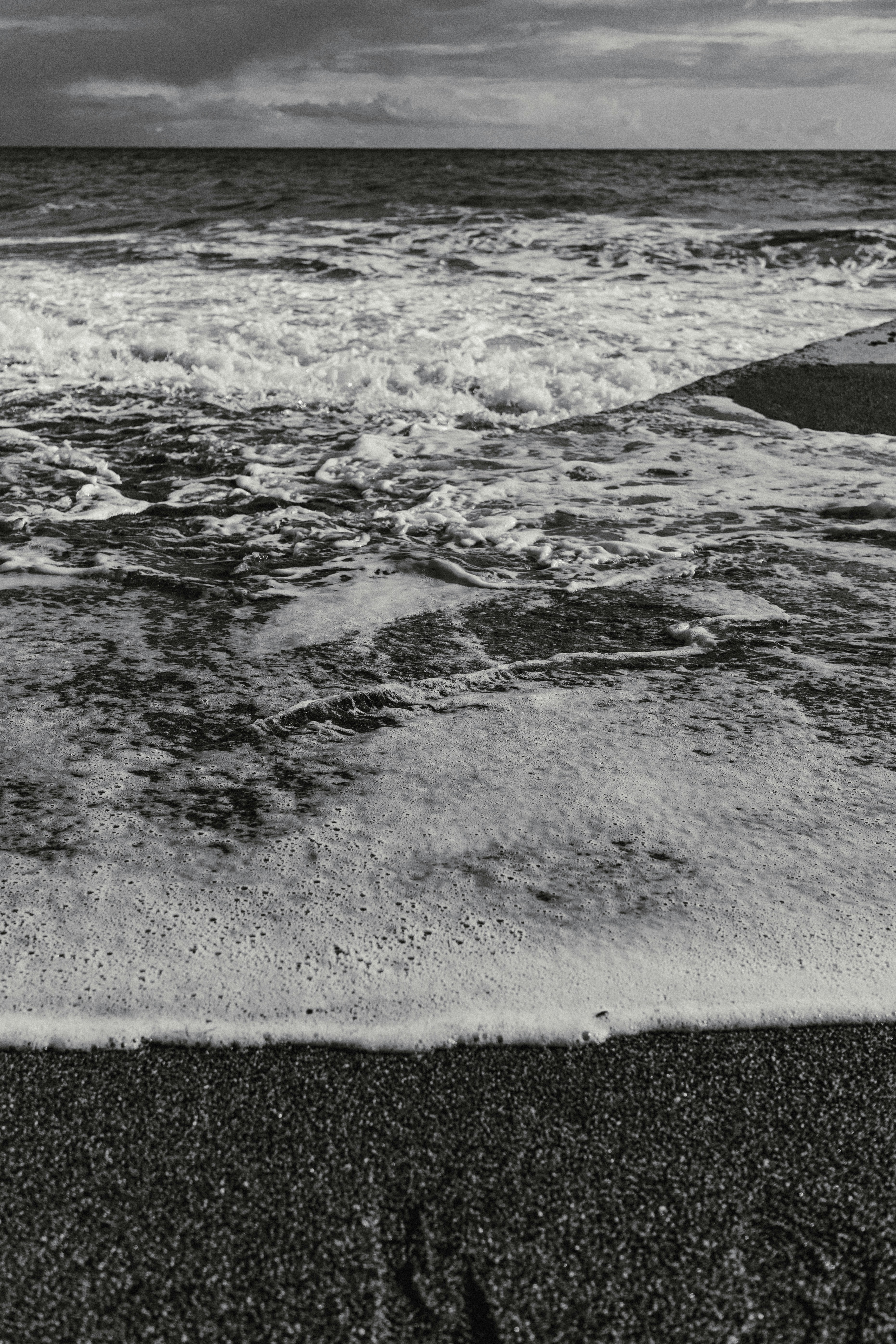 Photo by igorharrier