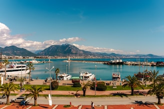 a marina with boats and palm trees in the foreground