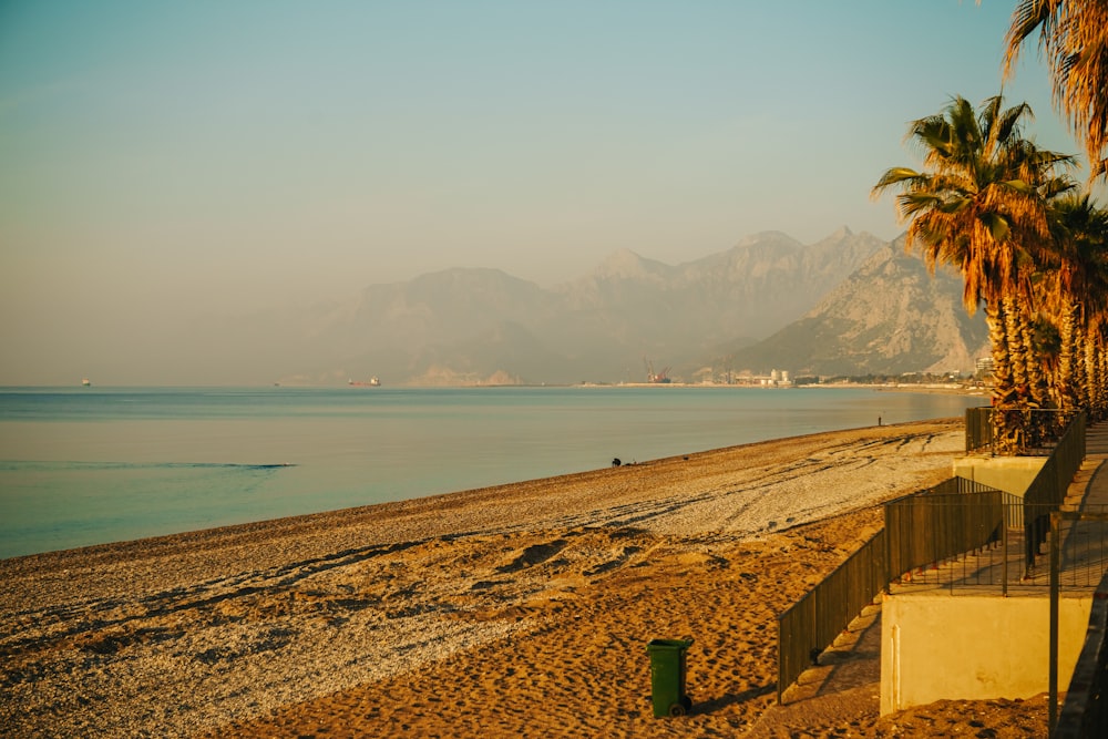 a beach with palm trees and mountains in the background