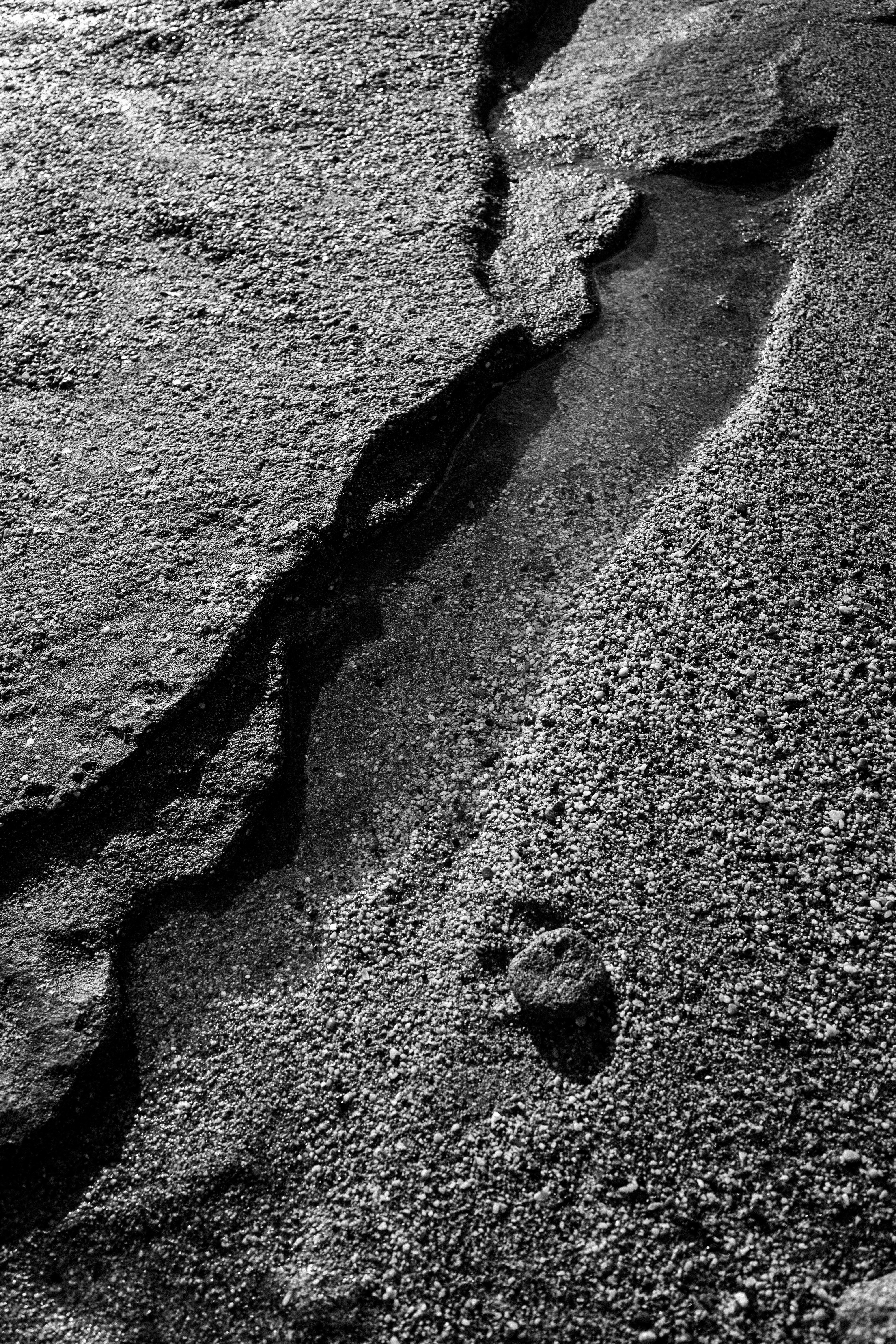 Photo by igorharrier