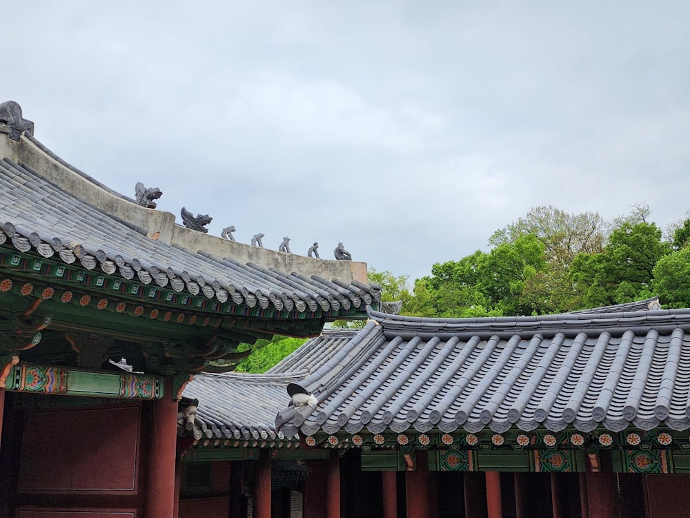 a group of birds sitting on top of a roof