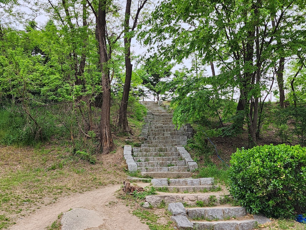a set of stone steps in a wooded area