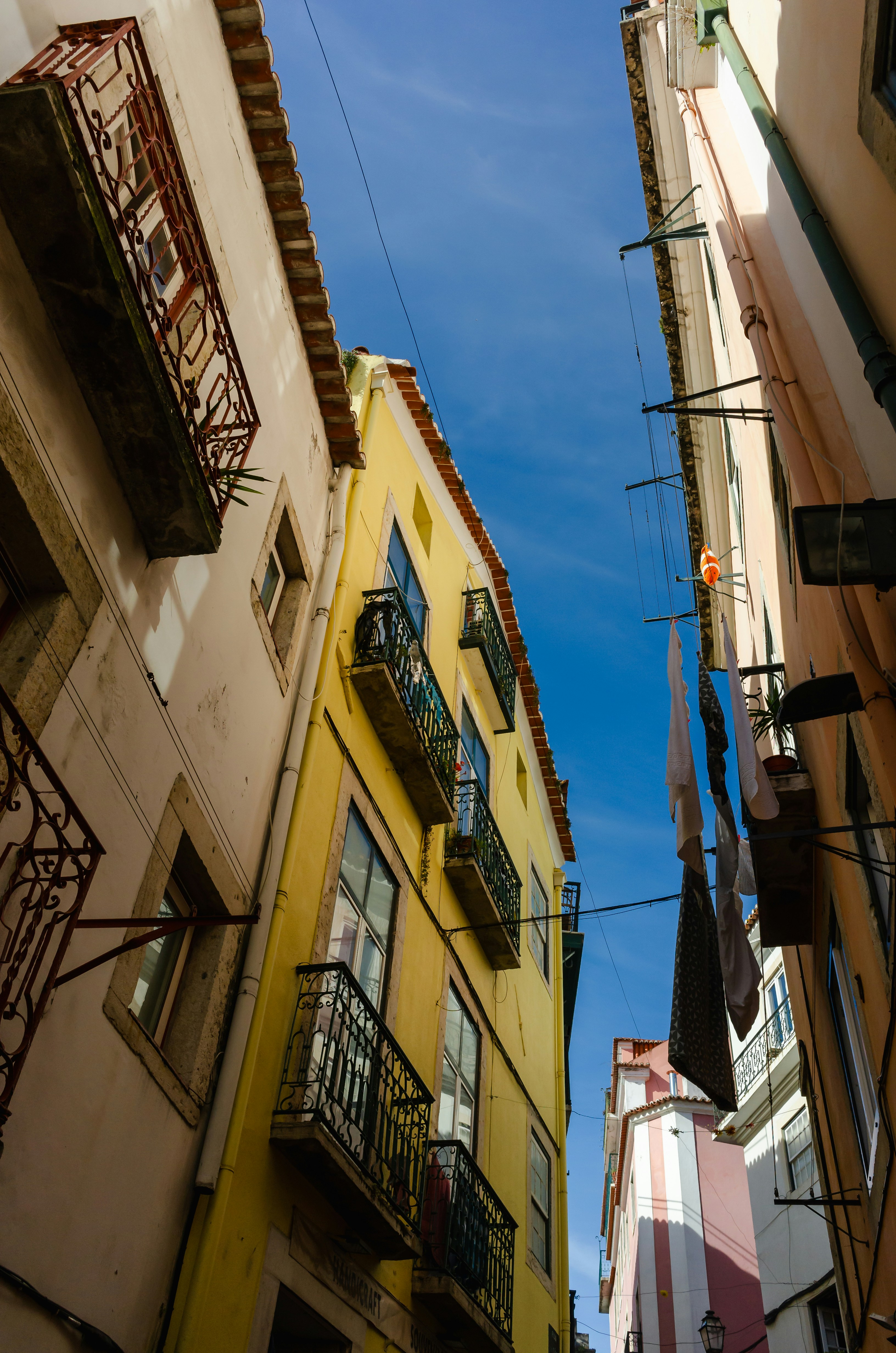 Photo by greg_rosenke