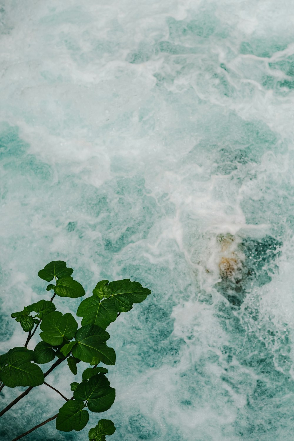 a person swimming in a body of water