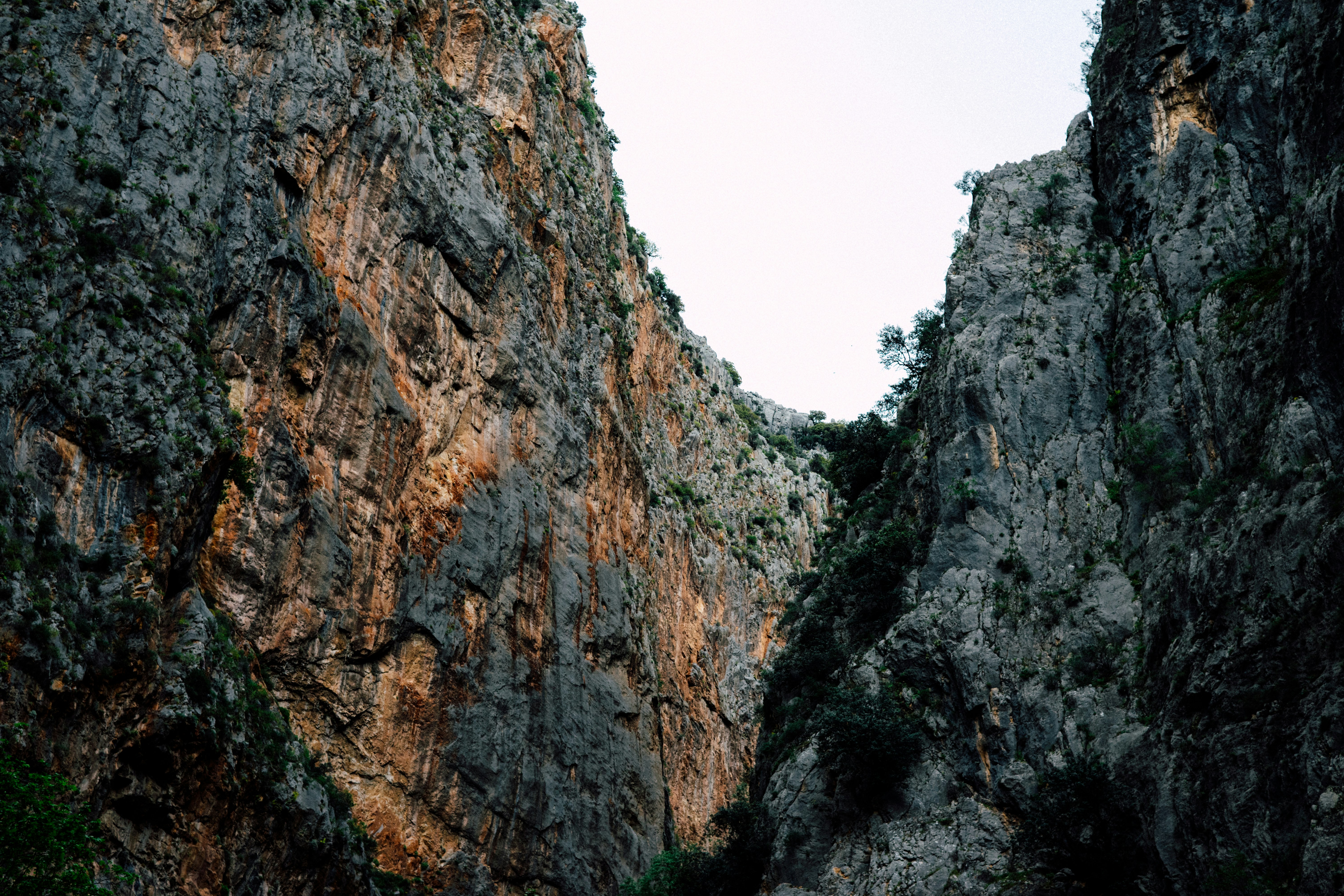 Photo by igorharrier