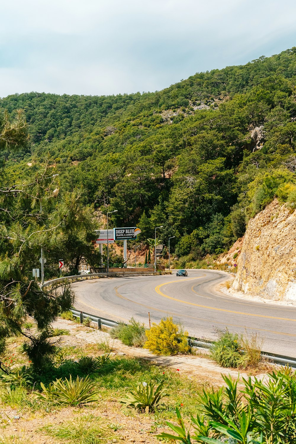 a winding road in the middle of a forested area