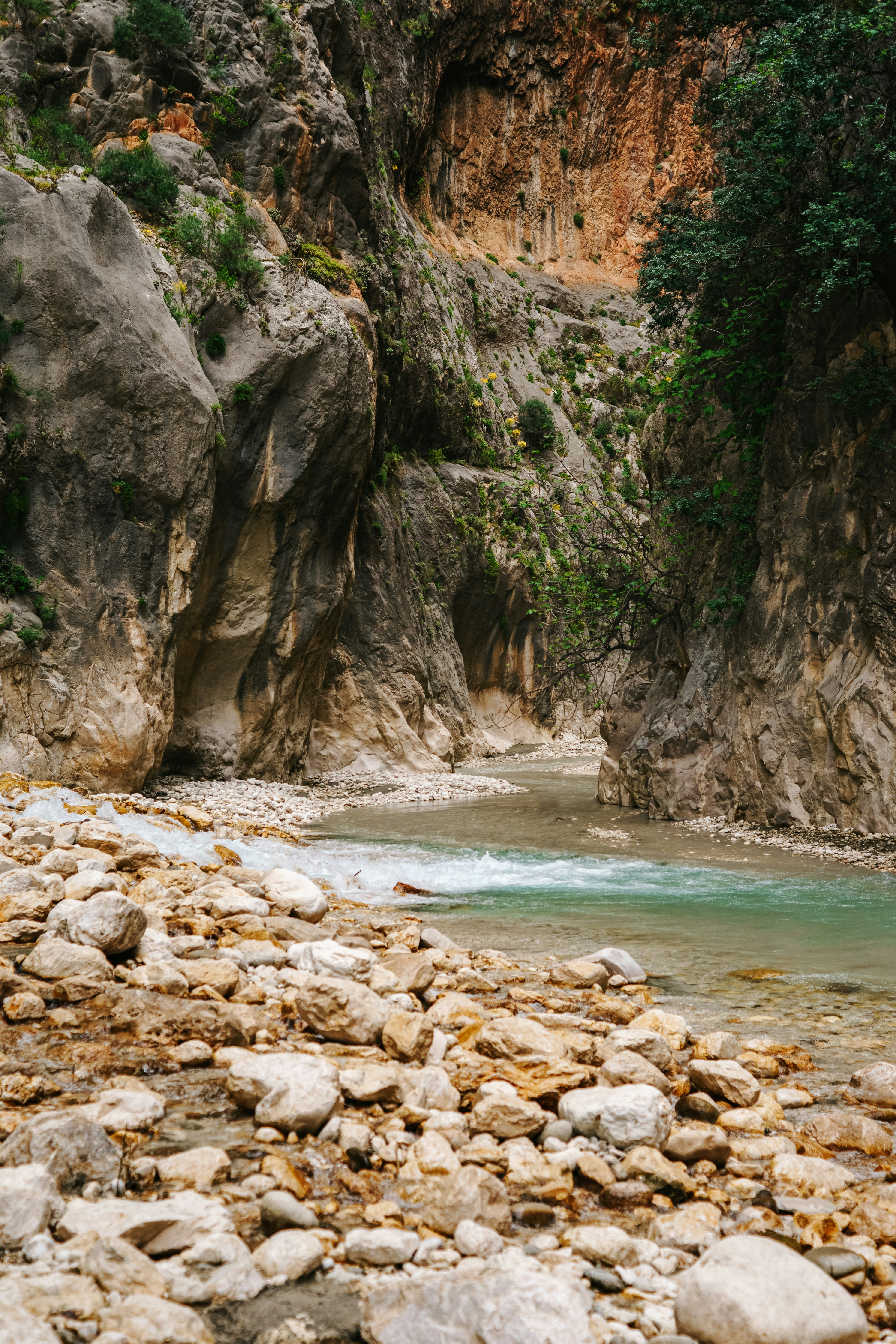 Photo by igorharrier