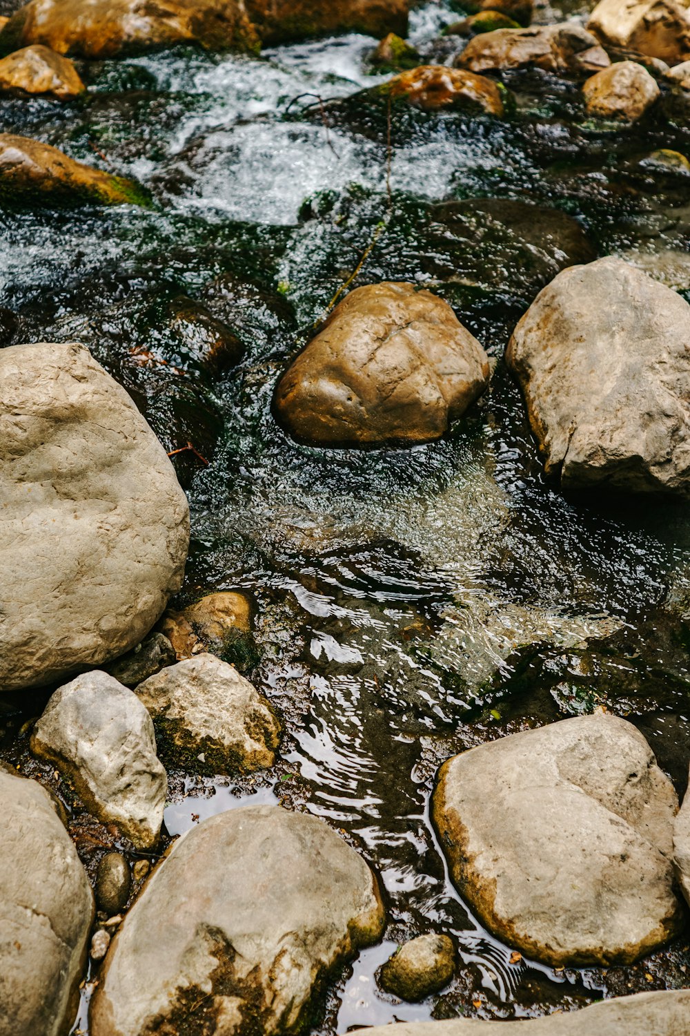 a close up of rocks in a stream of water
