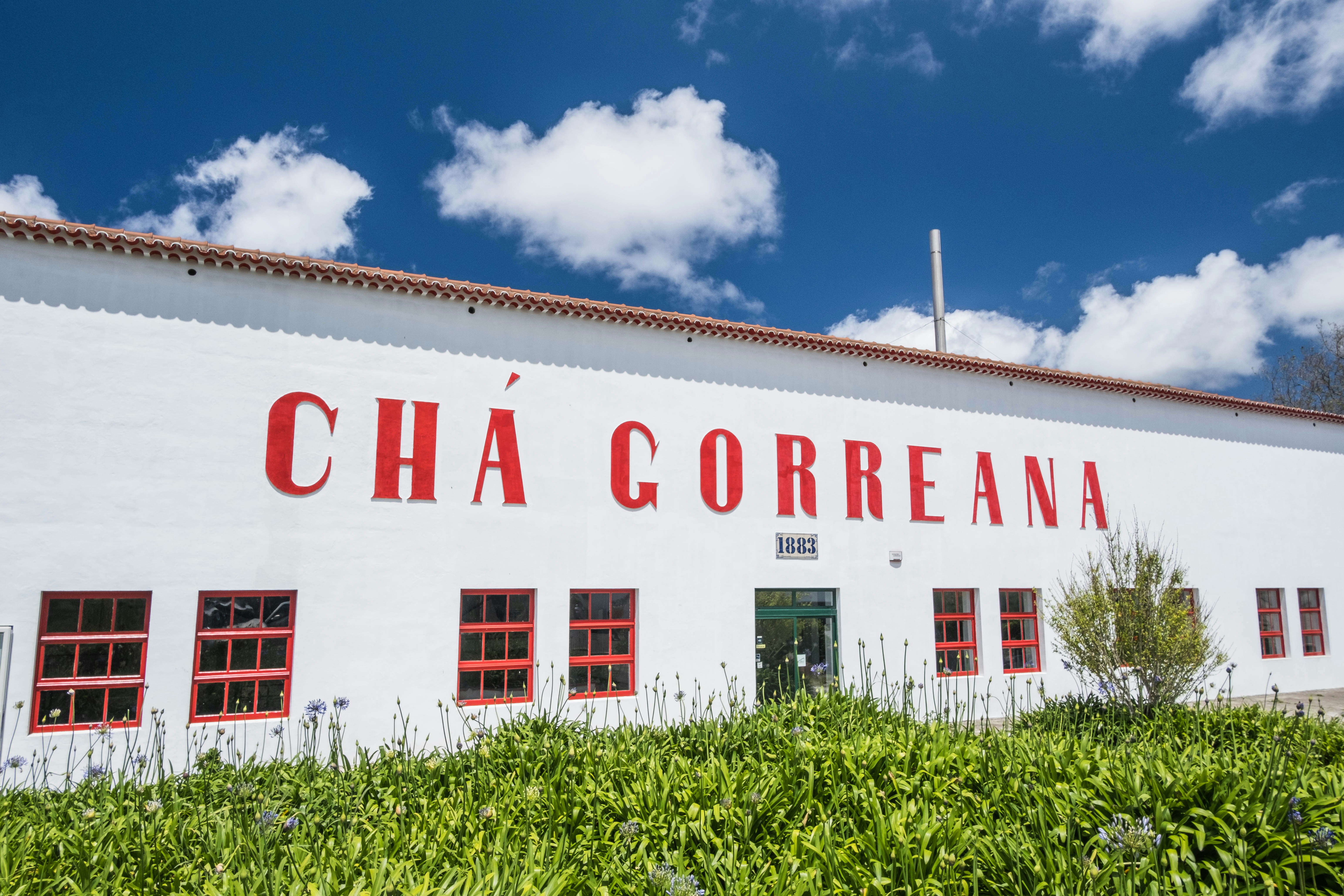 Gorreana tea factory