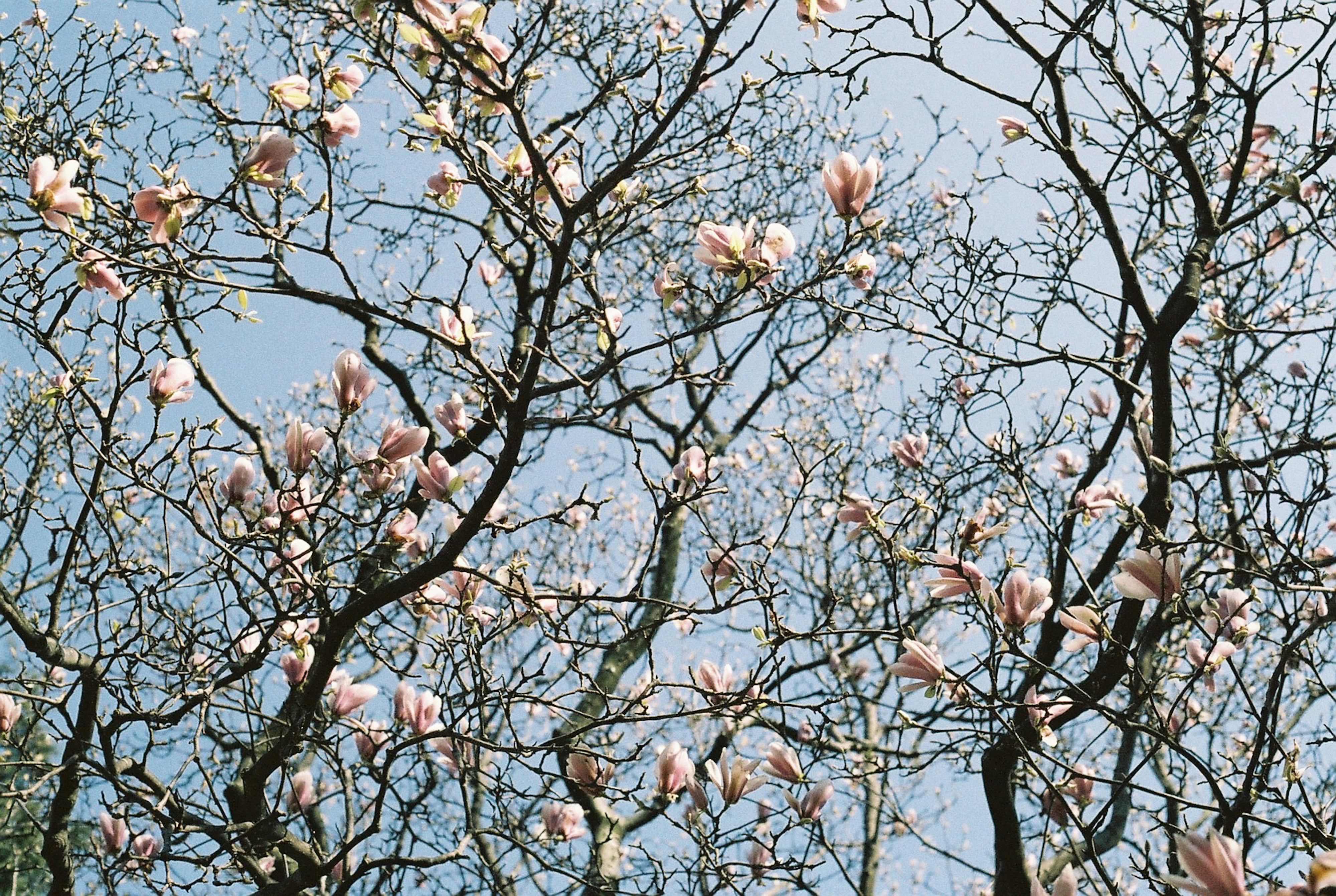 Photo by burcubircan