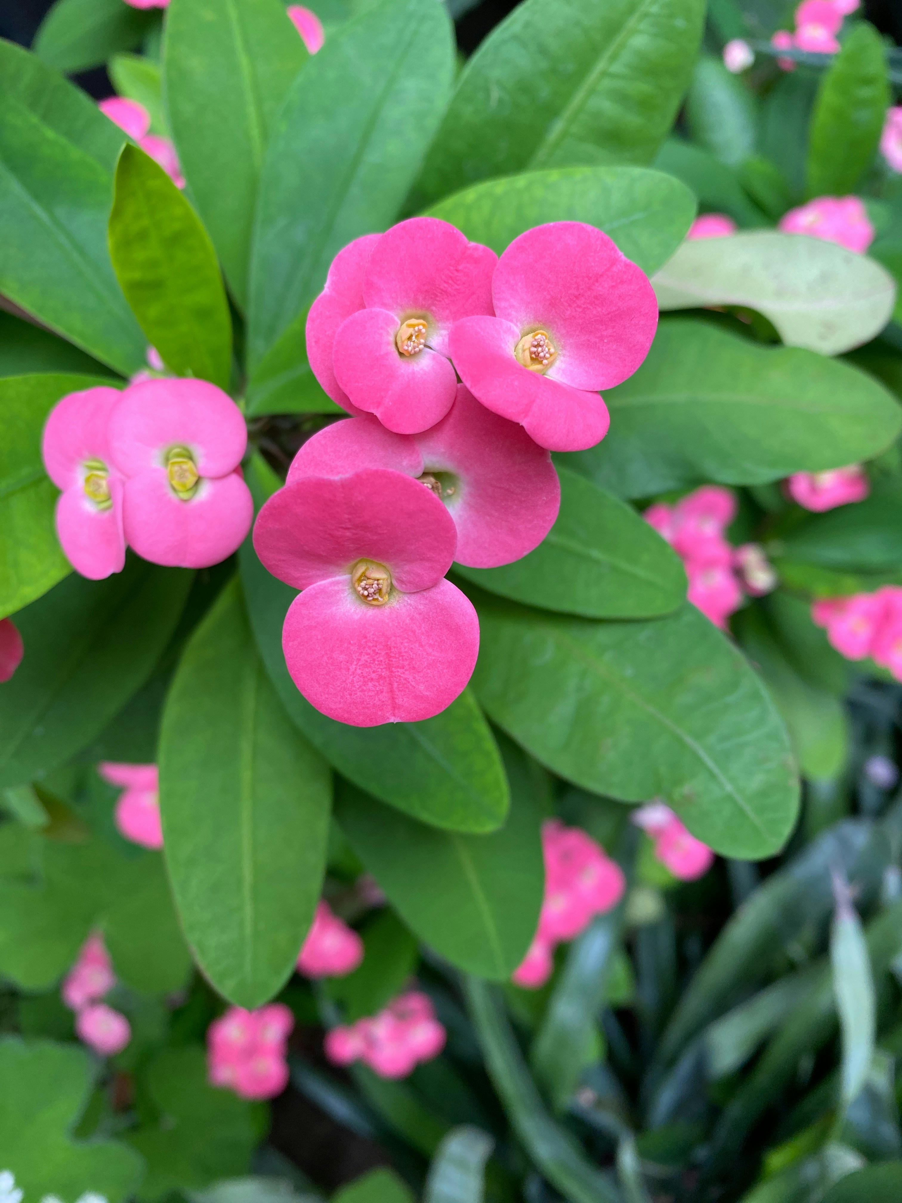 Photo by americanjael