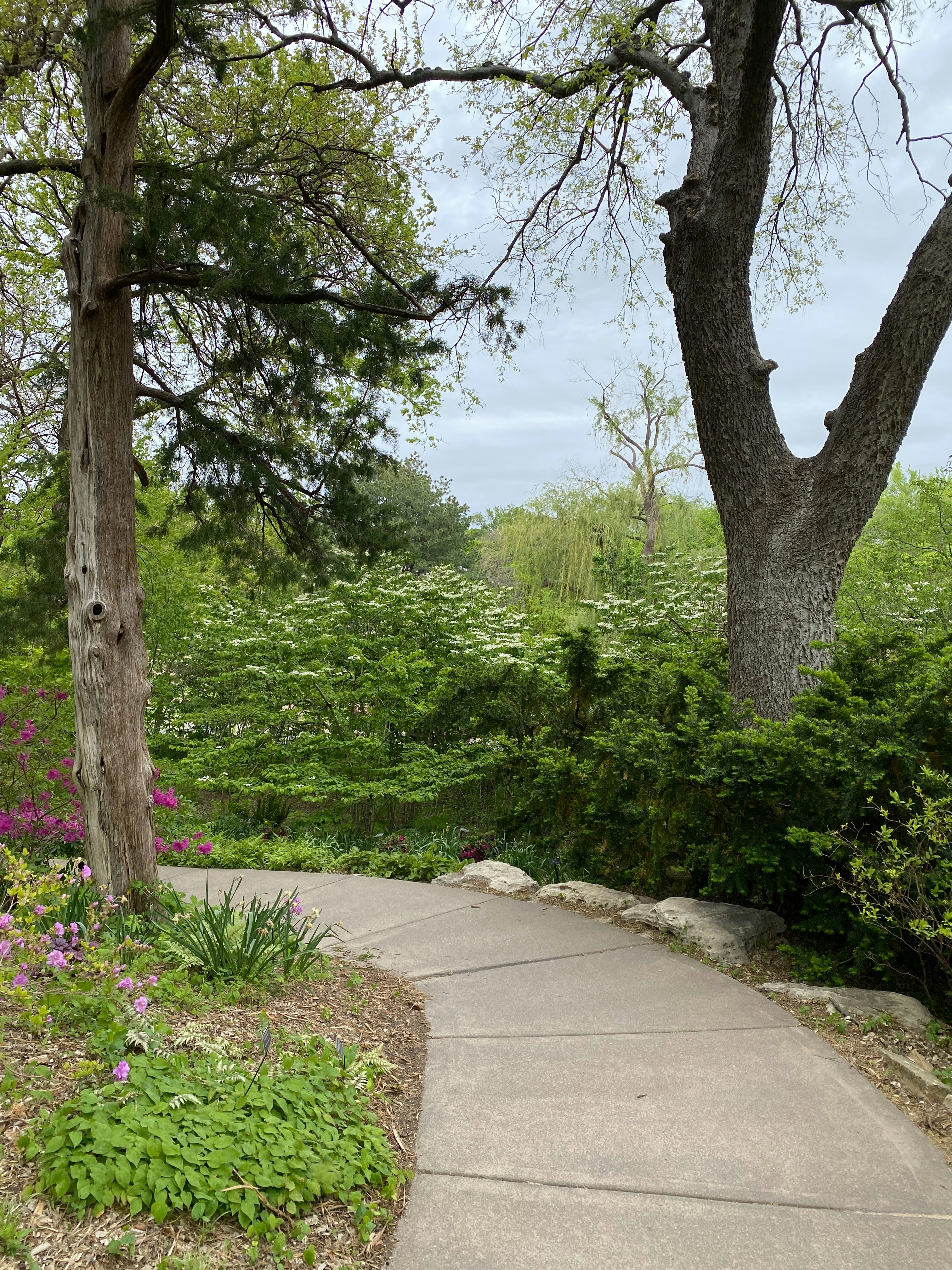 How to Choose the Right Plants for Your Landscape Design post image