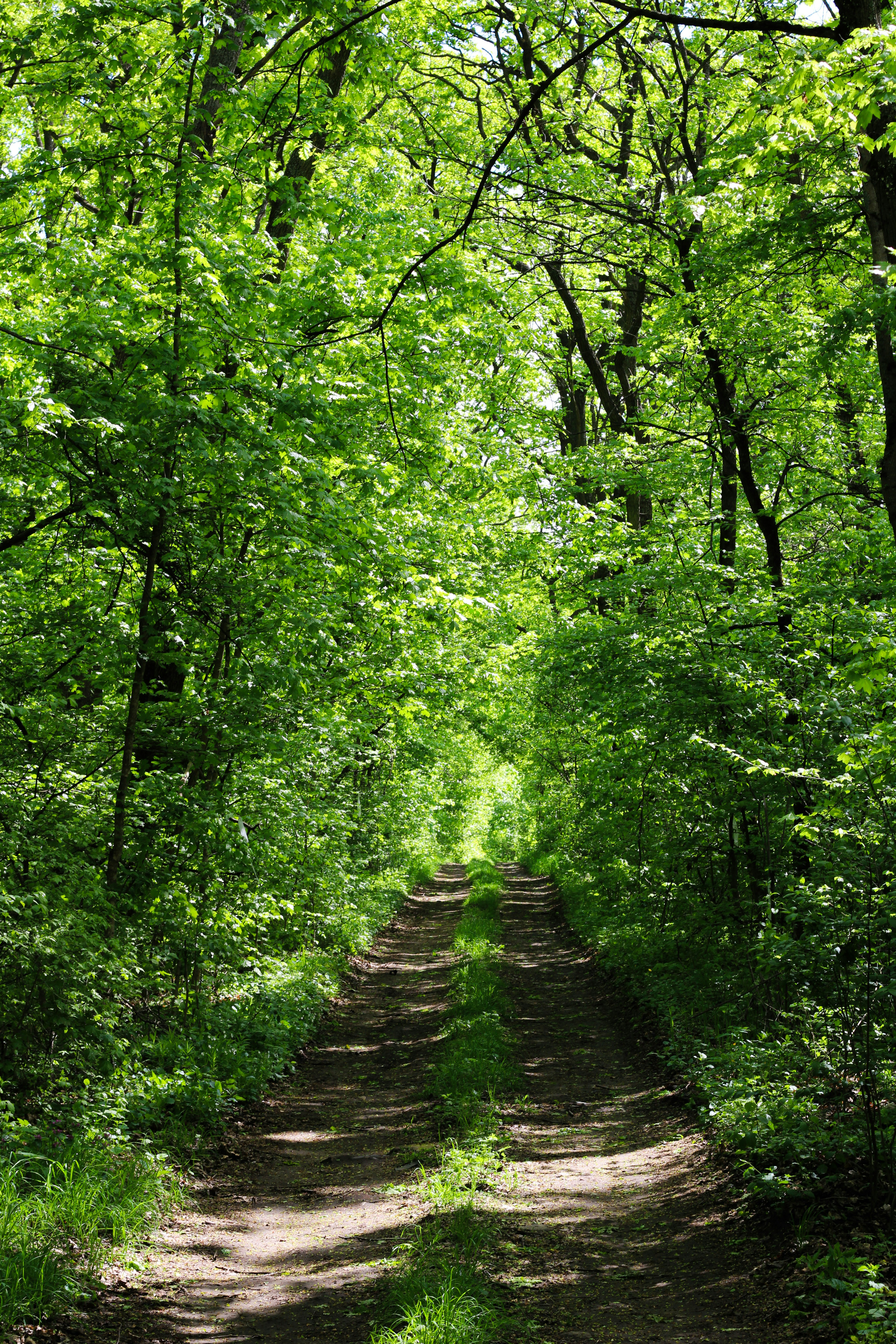 Photo by that_one_ukrainian