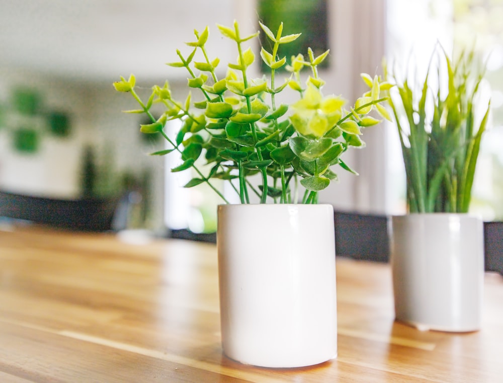 a couple of white vases sitting on top of a wooden table