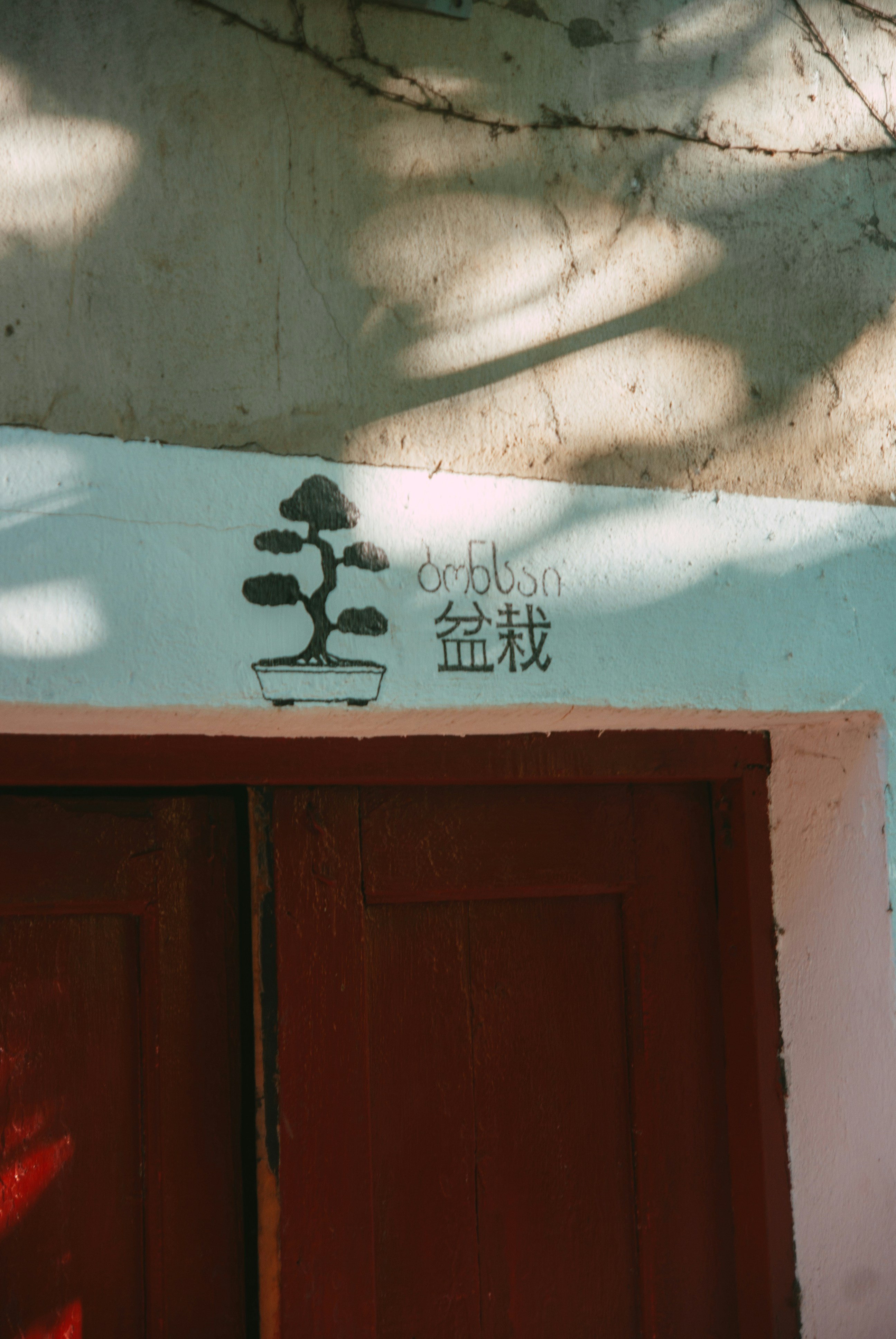 Photo by moonmoons_days