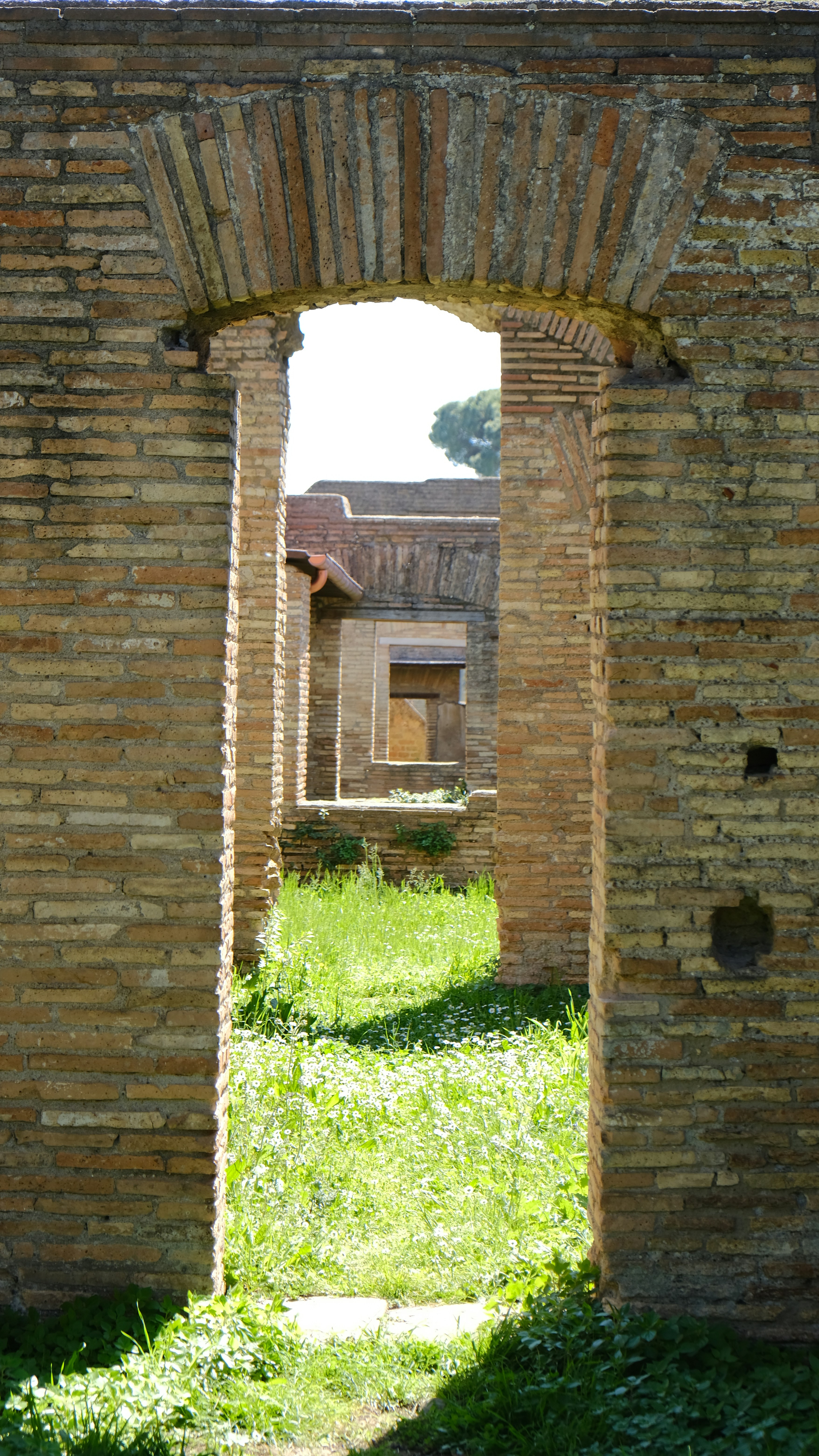 Pictory concept illustration