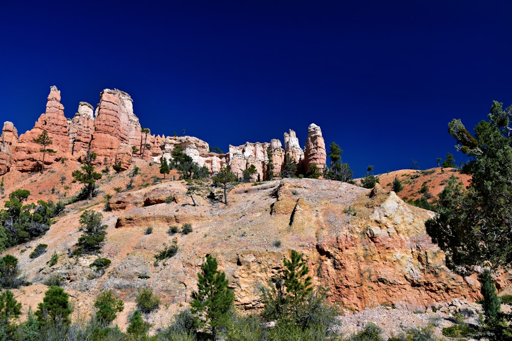 a rocky landscape with trees and rocks in the background