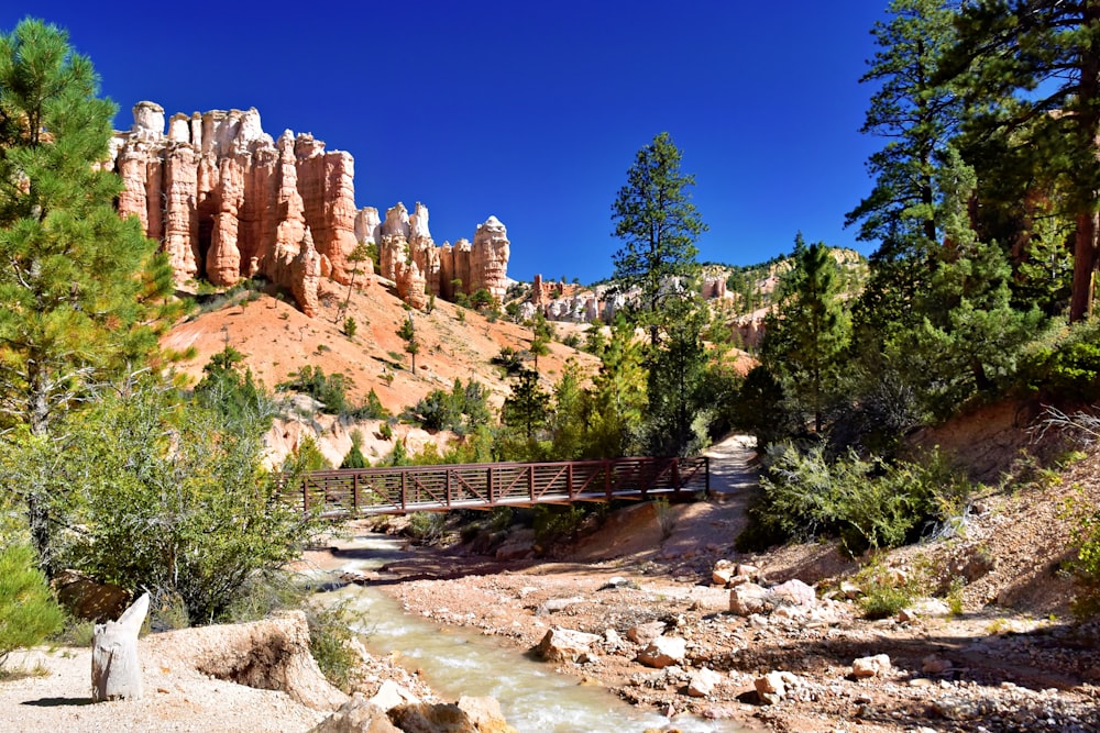 a wooden bridge crosses a stream in a canyon