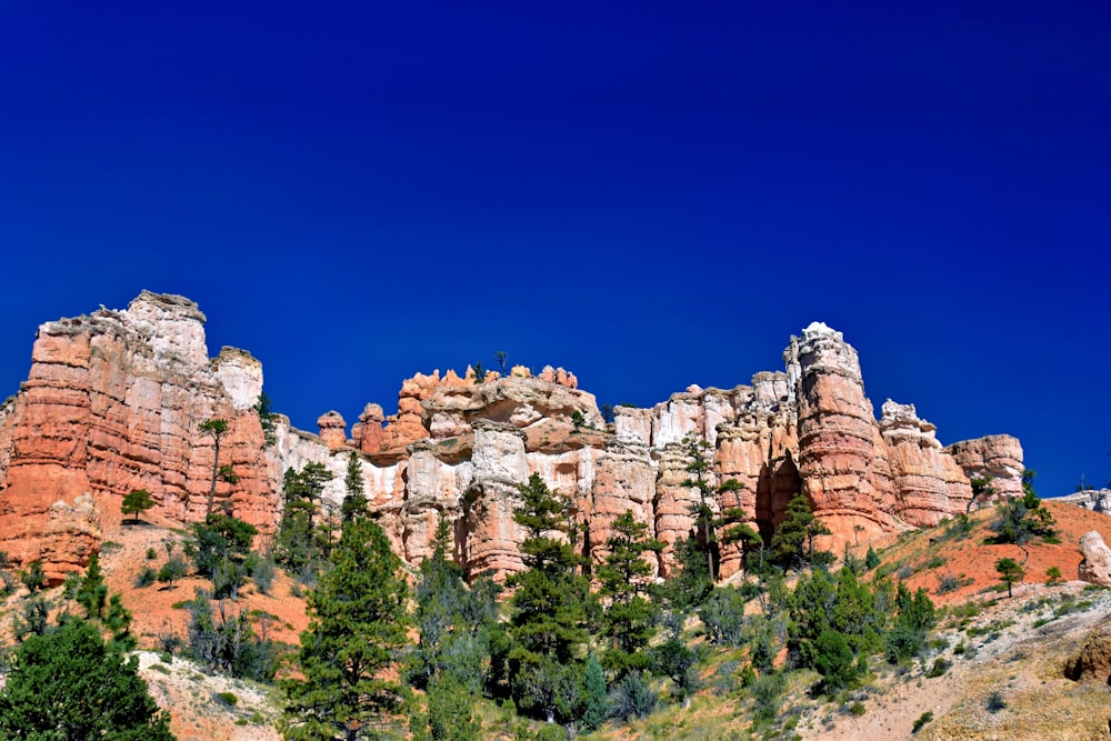 a large rock formation with trees on the side of it