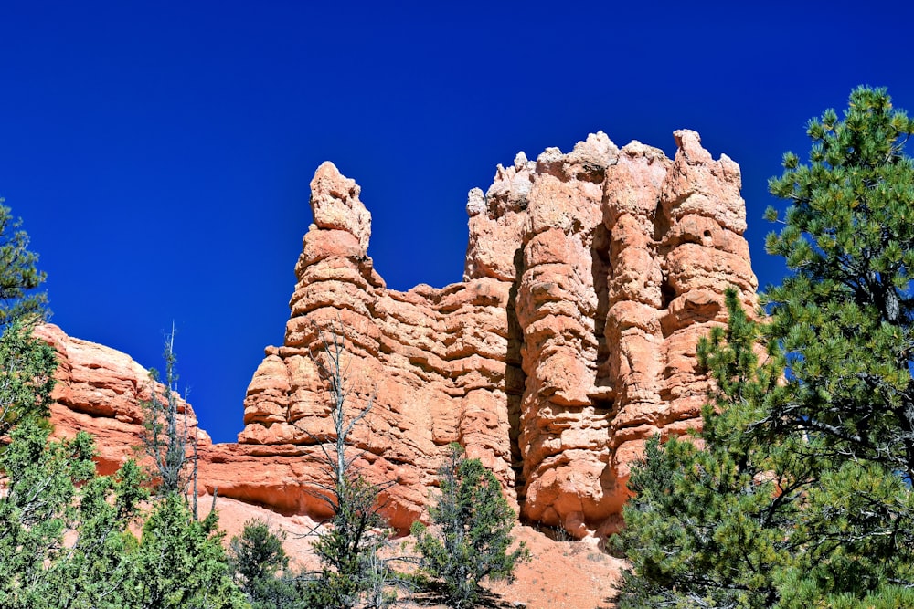 a tall rock formation surrounded by pine trees