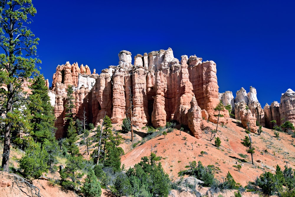 a large rock formation in the middle of a forest