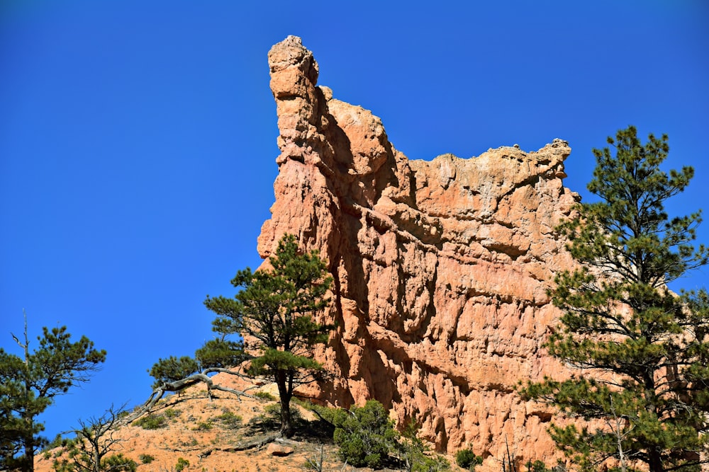 a large rock formation with trees on the side of it
