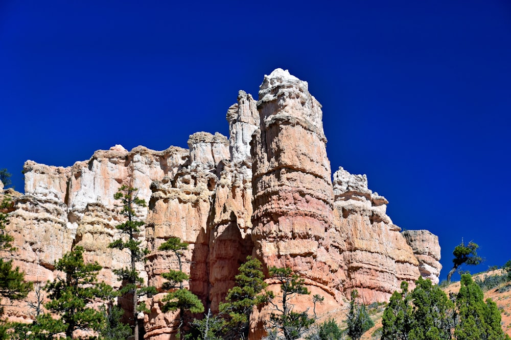 a large rock formation in the middle of a forest